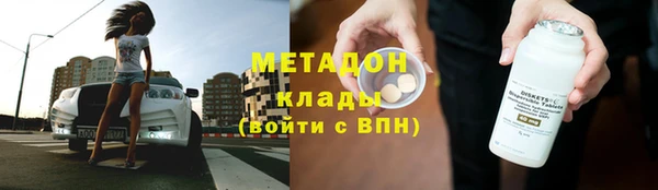 индика Заречный