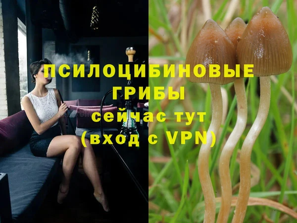 прущий лед Абдулино