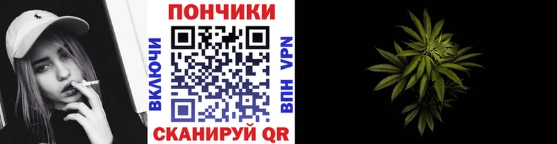 Канабис сатива  KRAKEN   Куртамыш 
